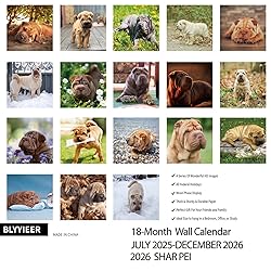 2025-2026 Wall Calendar,Shar Pei Wall
