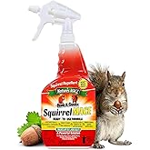Nature's Mace Squirrel Mace, Squirrel Repellent Outdoor, 40 Ounce Spray, Squirrel and Chipmunk Repellent, Keep Squirrels Out of Your Garden, Attic, Bird Feeders, Fruit Trees, Plants, Potted Plants