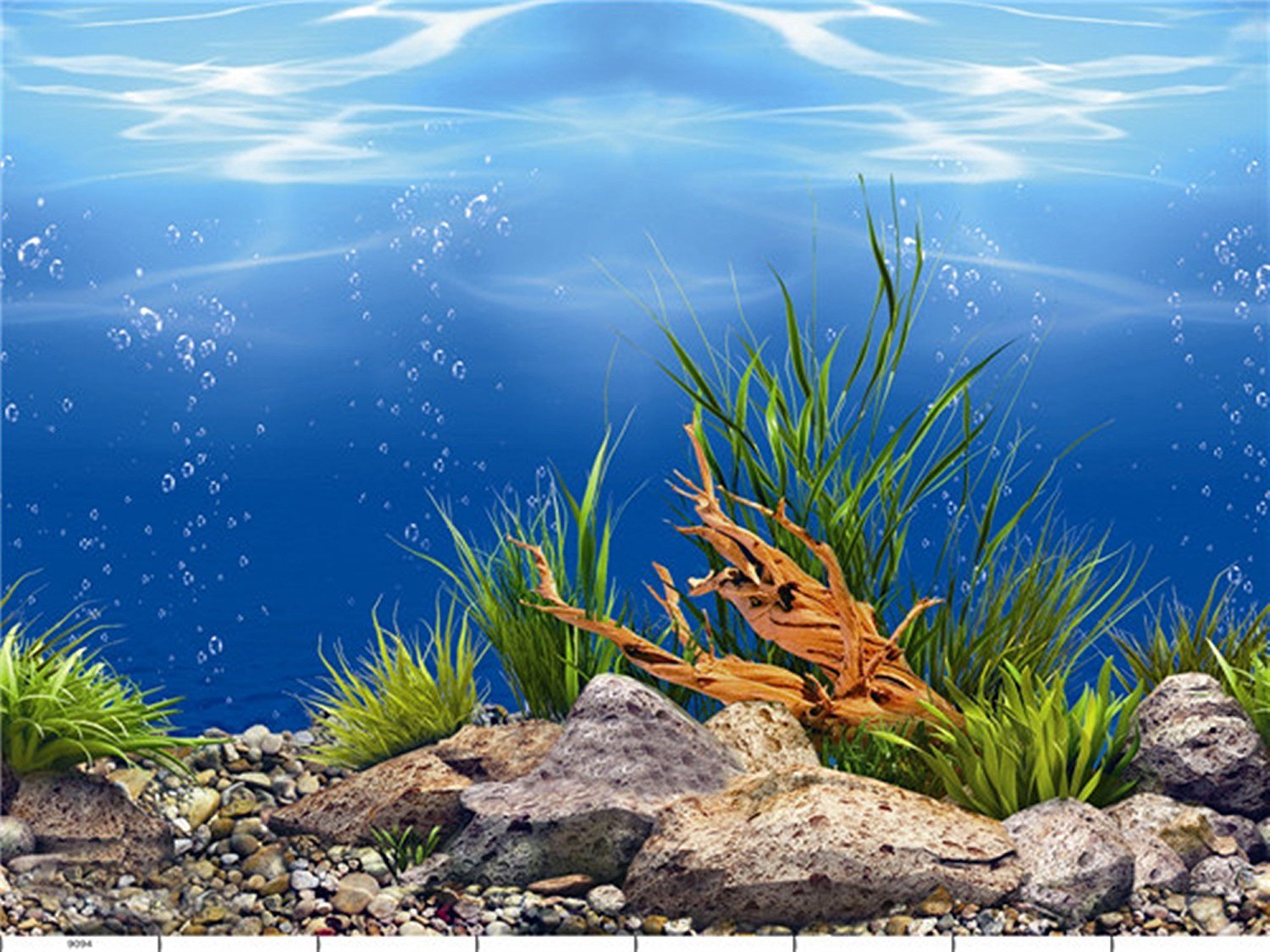 shalimar fish aquarium & pet shop