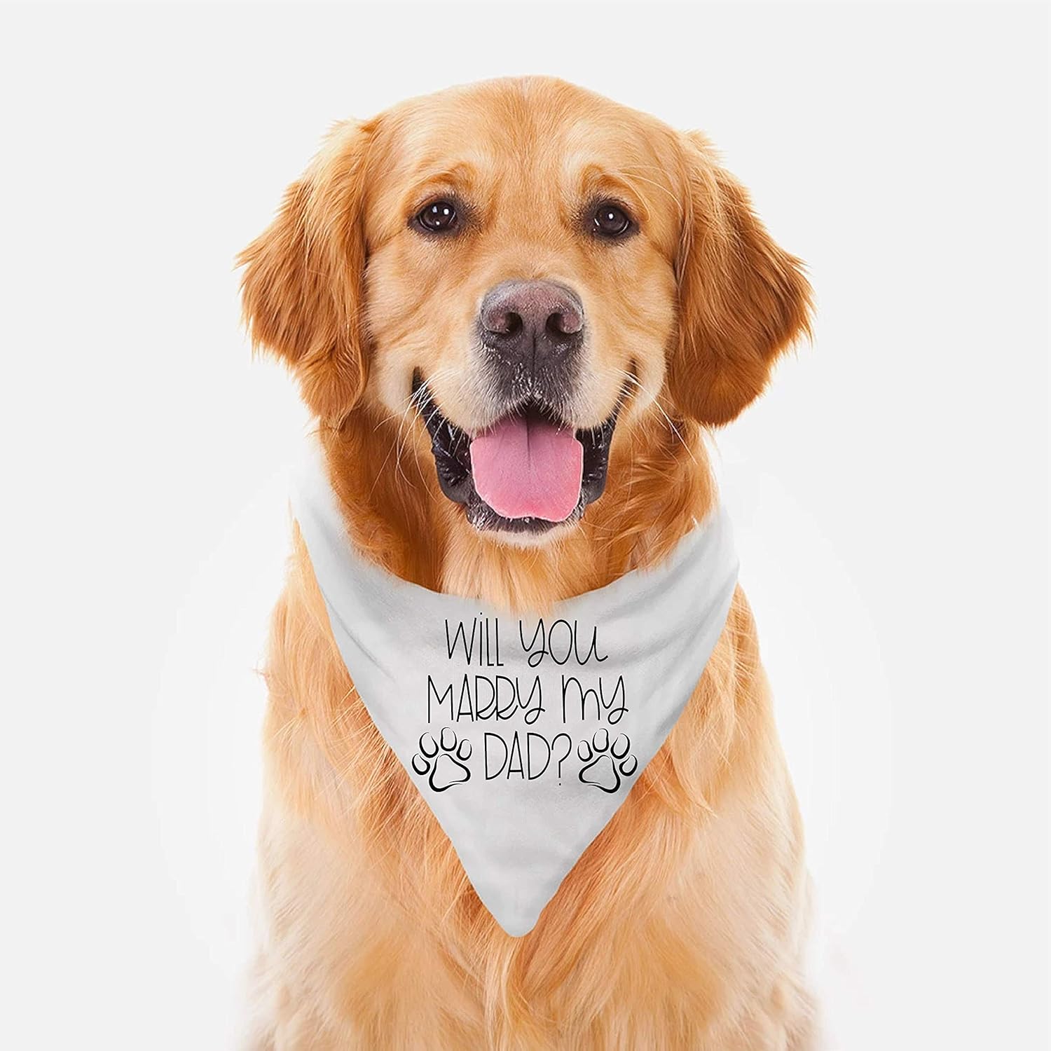 will you marry me dog bandana