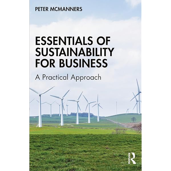 Sustainable Business (Key Issues in Environment and Sustainability