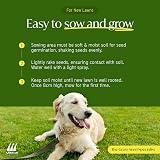 Lawn UK Sprogs & Dogs Grass Seed 500g Fast Growing 15sqm Coverage view 5