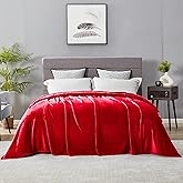 DREAMNINE Ultra Large Soft Fuzzy Flannel Fleece Blanket King Size 90" x 108", Decorative Solid Lightweight Fluffy Velvet Bed Blanket,Luxury Big Cute Cozy Shag Plush Microfiber Blankets for Bedroom,Red