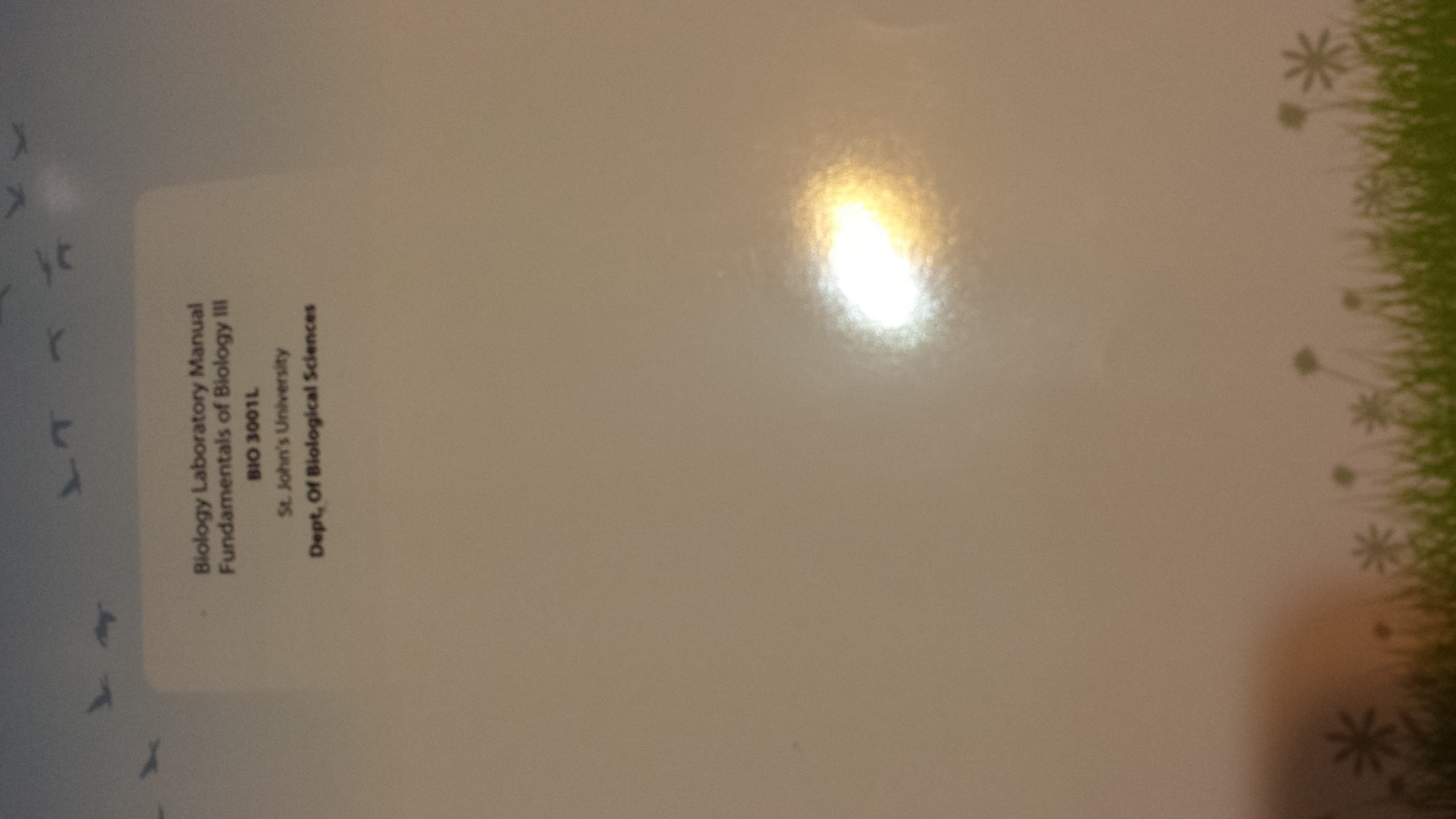 Biology Laboratory Manual Fundamentals of Biology III (Bio 3001L St John's  University) Spiral-bound – 2013