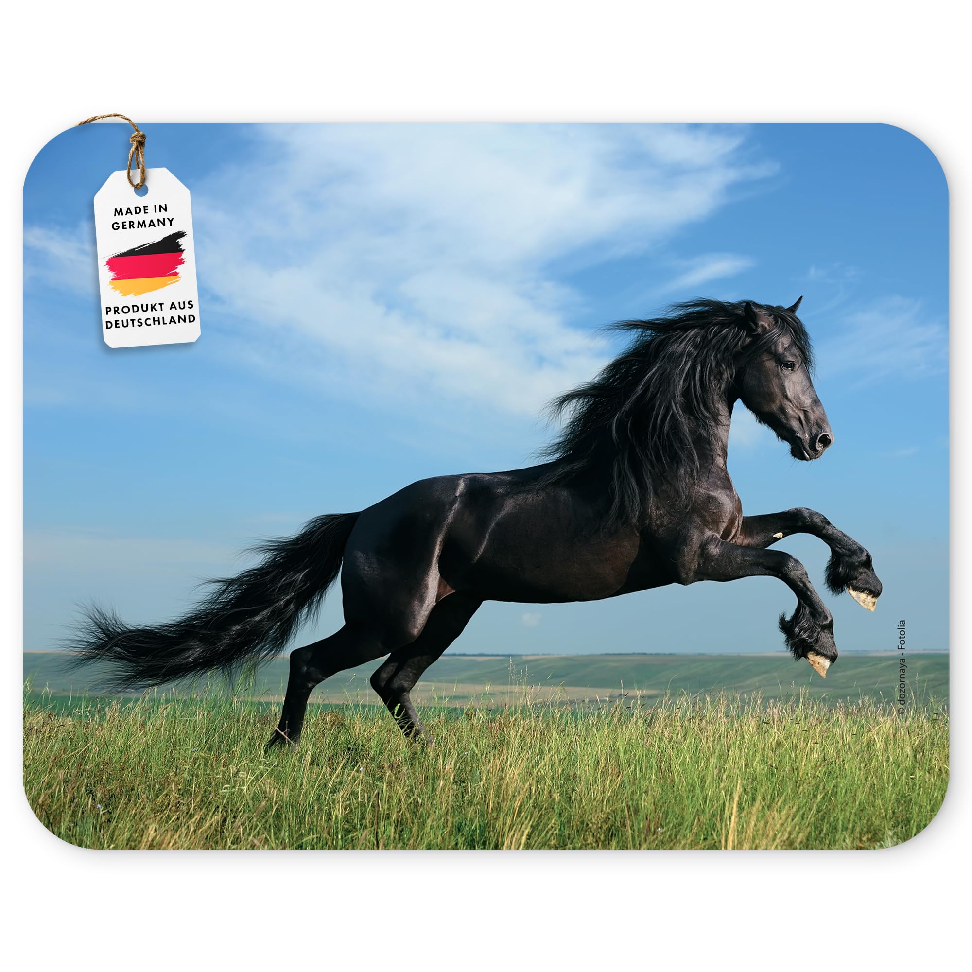 Edition Colibri Mouse Pad - Black, Tear-resistant Rubber, Rectangular, for Office and Gaming