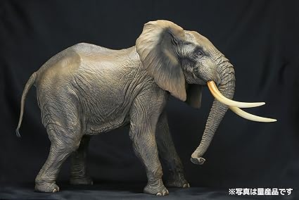 Amazon メガソフビアドバンス アフリカゾウ 約300mm Pvc製 塗装済み完成品フィギュア Msa 007 フィギュア ドール 通販 Amazon メガソフビアドバンス アフリカゾウ 約300mm Pvc製 塗装済み完成品フィギュア Msa 007 フィギュア ドール 通販