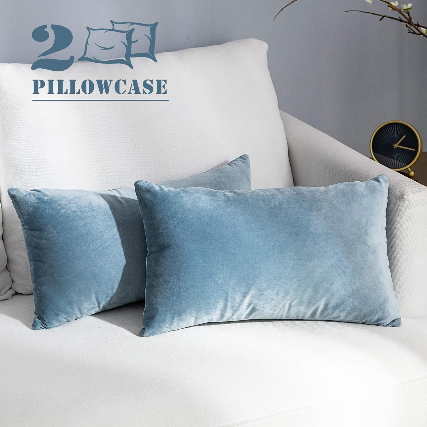 NANPIPER Set of 2 Velvet Soft Decorative Cushion Throw