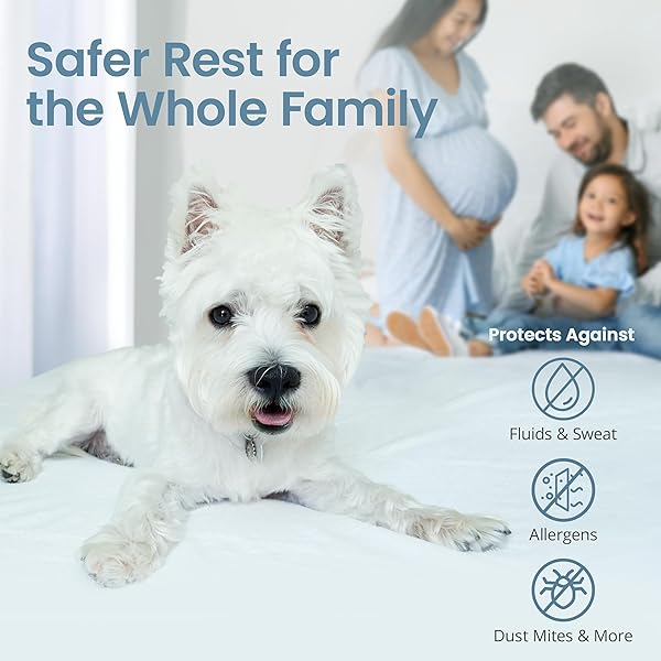 SAFEREST WATERPROOF CALIFORNIA KING SIZE MATTRESS PROTECTOR – FITTED WITH STRETCHABLE POCKETS – MACHINE WASHABLE COTTON BLEND MATTRESS COVER FOR BED