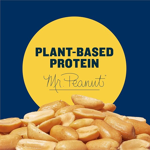 PLANTERS DRY ROASTED PEANUTS, PLANT-BASED PROTEIN, LIGHTLY SALTED, PEANUT SNACK, 16 OZ JAR