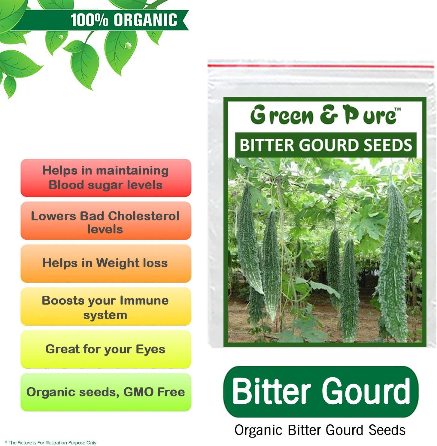 Green and Pure High Yield Organic Vegetable Seeds-Bitter Gourd-Kitchen/Terrace/Home Garden