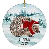 Santa Hat and Scarf Welcome Winter Brown Hedgehog