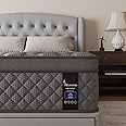 VISCOUNTESS Queen Mattress, 10 Inch Euro Top Mattress Grey Hybrid Medium Firm for Back & Lumbar Support, 100 Night Trial, Individual Pocket Spring for Motion Isolation & Pressure Relief