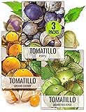 Seed Needs Tomatillo Seeds for Planting Variety