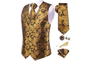 Dubulle Mens Vest and Tie Set Paisley Floral Waistcoat Neckties for Men Lapel Pin Clip Set Wedding Business