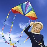 HONBO Large Delta Kite 54x31 Inch with 2x13ft Tails Handheld Line view 2
