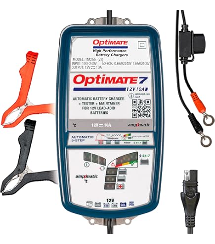 81TbG5QGxtL._AC_UL495_SR435,