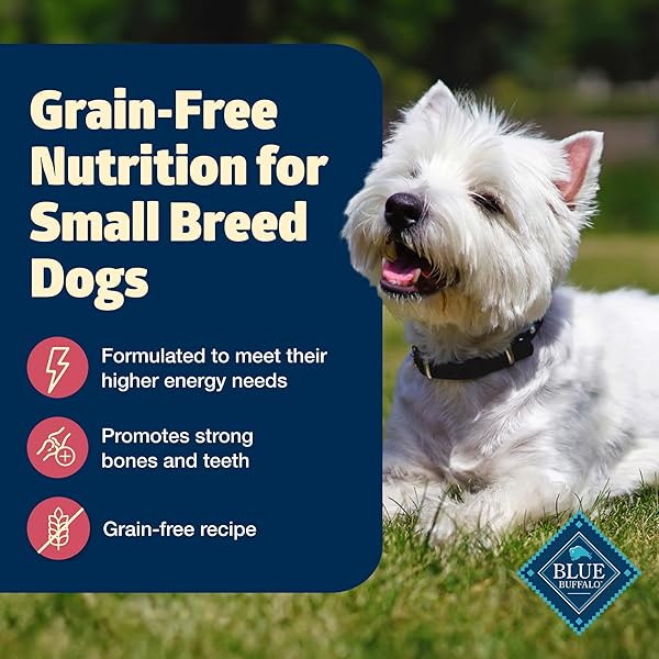 BLUE BUFFALO FREEDOM GRAIN-FREE SMALL BREED DRY DOG FOOD, SUPPORTS HIGH ENERGY NEEDS, MADE IN THE USA WITH NATURAL INGREDIENTS, CHICKEN & POTATOES, 4-LB BAG