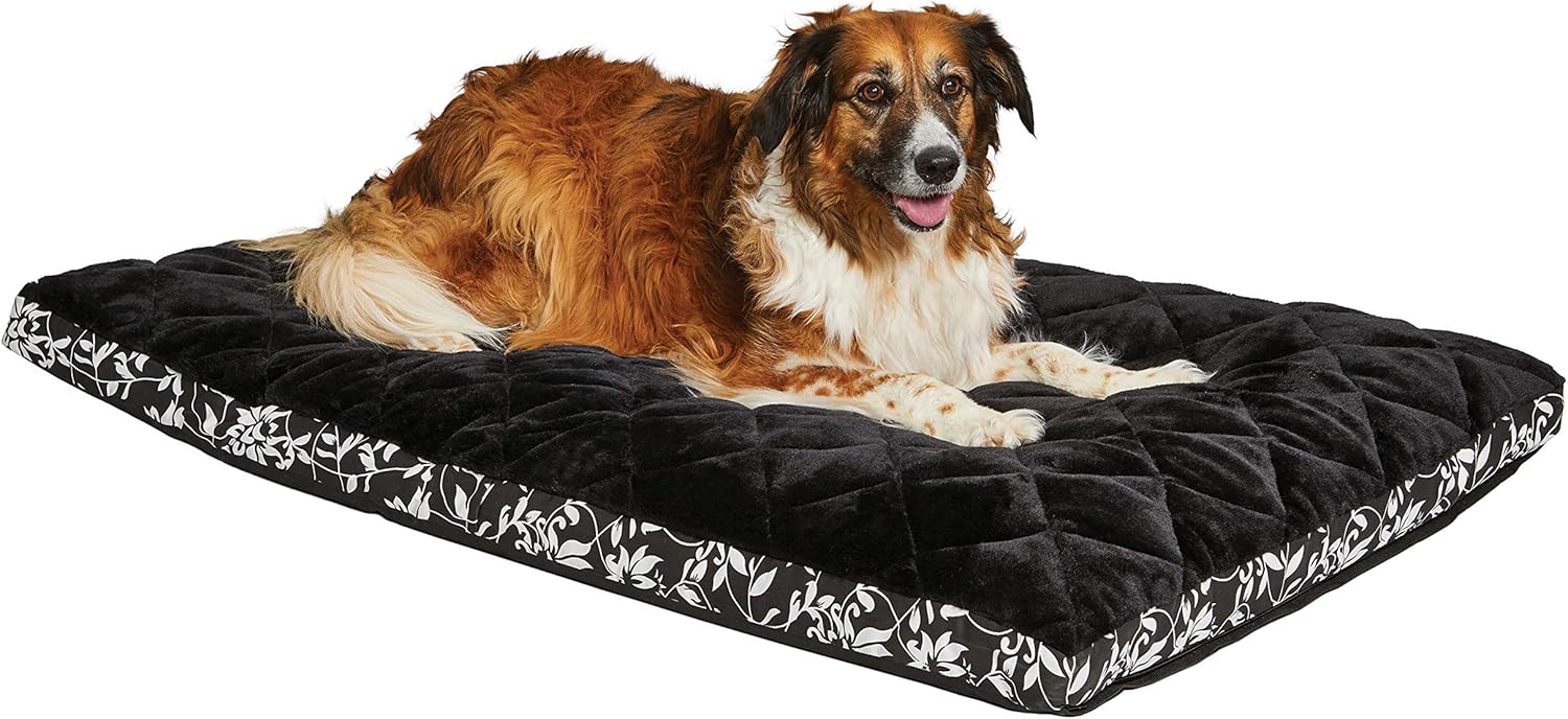 purple dog mattress