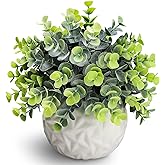 Hopewood Fake Plants Indoor Small Artificial Eucalyptus Plants in White Pots for Bedroom Home Decor Faux Plants Decor