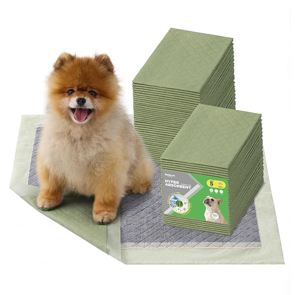 BEDSURE PEE PADS FOR DOGS, 22″ X 22″ PUPPY PADS 50 COUNT, SUPER ABSORBENT & LEAK PROOF, SMALL DOG TRAINING PADS QUICK DRY DISPOSABLE PETS POTTY PADS ODOR-CONTROL ACTIVATED CARBON & ECO GREEN MATERIAL