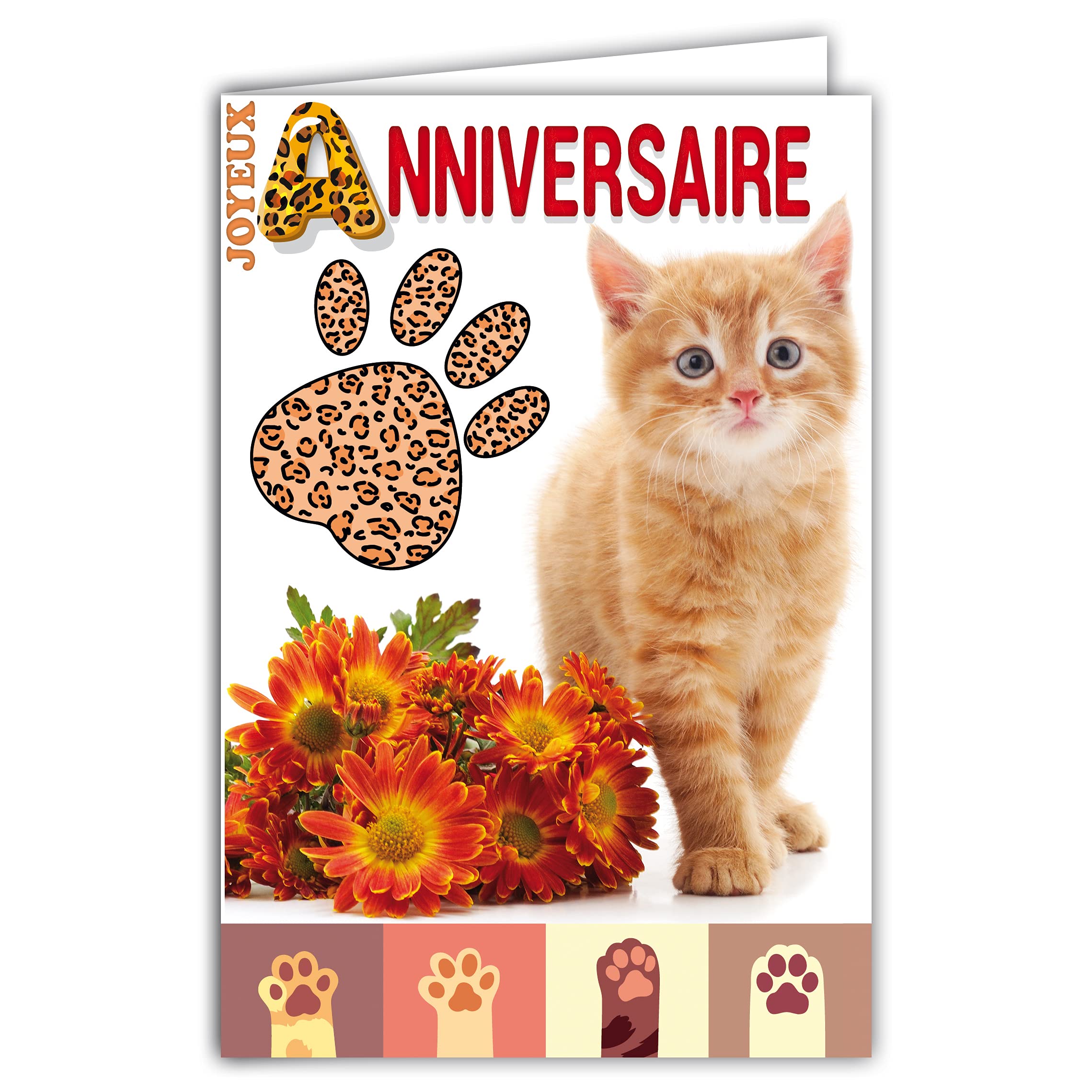 Afie 67-1234 Happy Birthday Card Cat Paws Orange Tiger Bouquet Flowers with White Envelope 12 x 17.5 cm