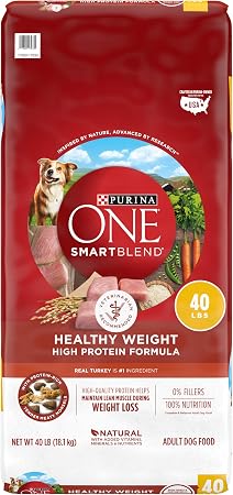 best dog bowl slow feeder [Wave] Slow Feeder Dog Bowls main image 0