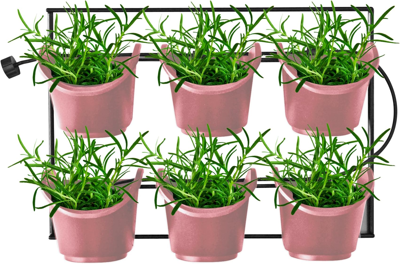 Watex WX061 Mounted Green Wall, Salmon Rose Vertical Planter, Pink