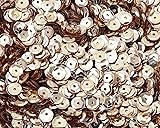 Penta Angel Loose Sequins 4000Pcs 6mm Round