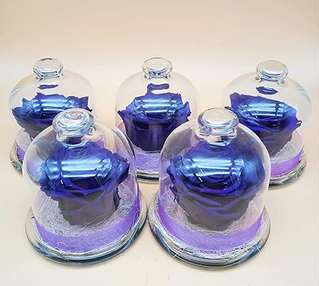 Rose Violette Preservee Cadeau Original Rose Eternelle Violette Lilas Roses Eternelles Violettes En Verre Fabrique En Espagne Amazon Fr Cuisine Maison Rose Violette Preservee Cadeau Original Rose Eternelle Violette Lilas Roses Eternelles Violettes En Verre Fabrique En Espagne Amazon Fr Cuisine Maison