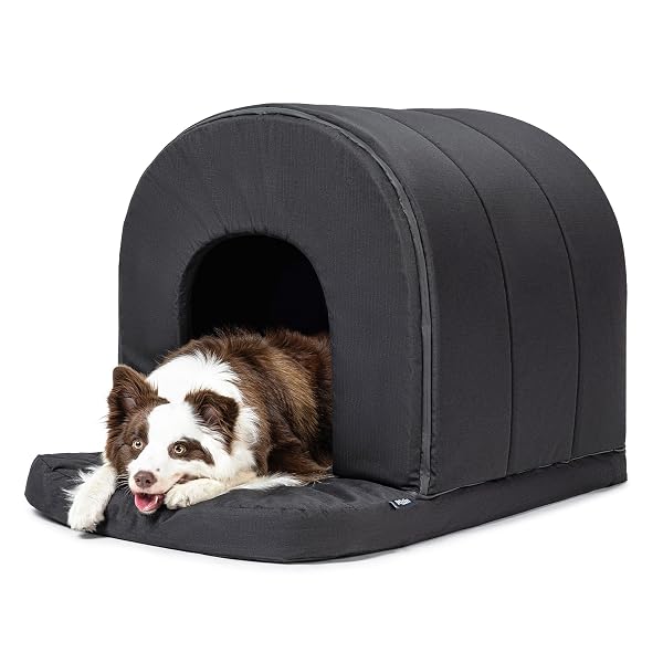 PELZIN ORTHOPEDIC DOG HOUSE – OUTDOOR WATERPROOF DOG SHELTER W/PORCH – INDOOR PET HOUSE W/EGG-CRATE FOAM – COOLING – MACHINE WASHABLE – IDEAL FOR LARGE BREEDS & FITS 36-INCH CRATE – 35″X22″
