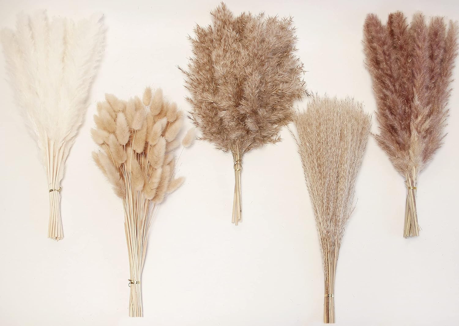 Dried & Preserved Flora - Natural Dried Pampas Grass Decor, 110 PCS Pampas Grass Contains White Bunny Tails Dried Flowers, Artificial Flowers for Bathroom Decor, Bathroom Wall Decor, Office Decor and Baby Shower Decorations