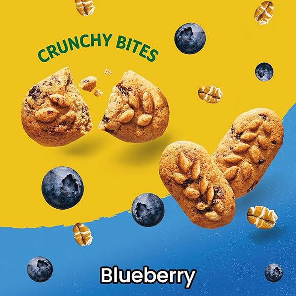 BELVITA BITE SIZE SNACKS, BLUEBERRY CRUNCHY BITES, 10-1 OZ SNACK PACKS