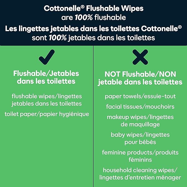 COTTONELLE GENTLEPLUS FLUSHABLE WET WIPES WITH ALOE & VITAMIN E – 2 FLIP-TOP PACKS, 84 TOTAL FLUSHABLE WIPES, 42 COUNT (PACK OF 2)