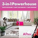 Dirtbusters Carpet Shampoo Cleaner Solution 5L 3-in-1 Stain Odour Cleaner view 4
