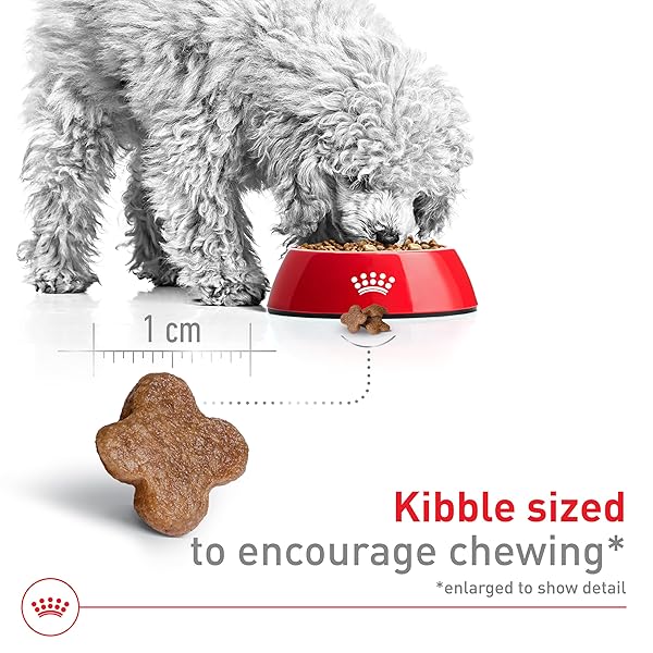 ROYAL CANIN SIZE HEALTH NUTRITION SMALL ADULT 8+ DRY DOG FOOD, 2.5 LB BAG