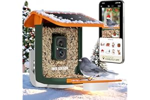 RICHBIRD Smart Bird Feeder with Camera, Solar Powered, Free AI Identify Auto Video Capture & 2K HD Video Bird Feeders for Outdoors with SD Card, Gift for Birdlover