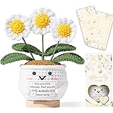 Inspirational Appreciation Gifts for Women, Positive Daisy Flower Emotional Support Crochet, This is A Little Reminder, Unique Valentines Day Birthday Thank You Gifts for Coworker Teacher Friend Mom