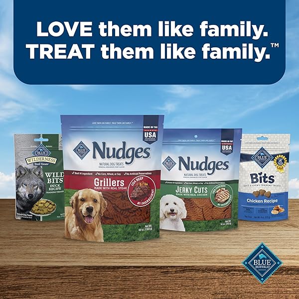 BLUE BUFFALO NUDGES GRILLERS NATURAL DOG TREATS MADE WITH REAL CHICKEN