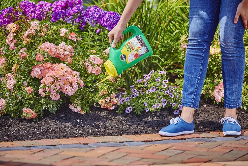 Miracle-Gro Shake 'N Feed All Purpose Plant Food, 4.5 lb. : Garden & Outdoor