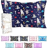Miss Adola Silk Pillowcase for Kids - 30 x 20 Inches Queen Size Mulberry Silk Pillow Case with Zipper Cute Cartoon Kawaii Teens Girls Boys Pillowcase for Hair and Skin, Planet Stars