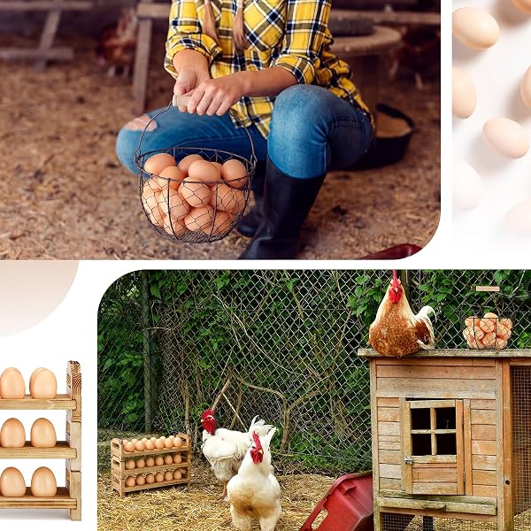 TEECYHOOO 2 PCS WOODEN EGG HOLDER COUNTERTOP AND FARMHOUSE WIRE EGG BASKET KIT WITH HANDLE STACKABLE EGGS STORAGE RACK FOR GATHERING FRESH EGGS VINTAGE HOME STORAGE KITCHEN ORGANIZER FARM CHICKEN COOP