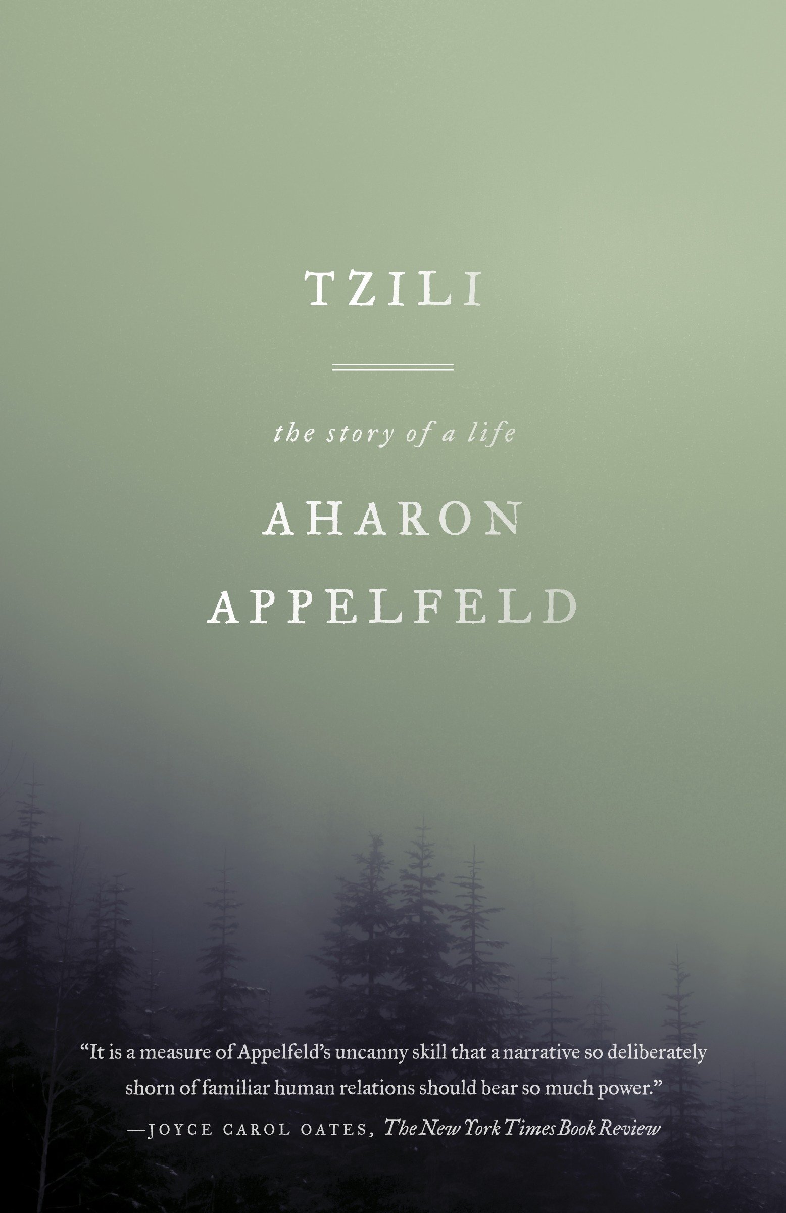 Tzili The Story Of A Life Appelfeld Aharon Bilu Dalya 9780805212495 Amazon Com Books