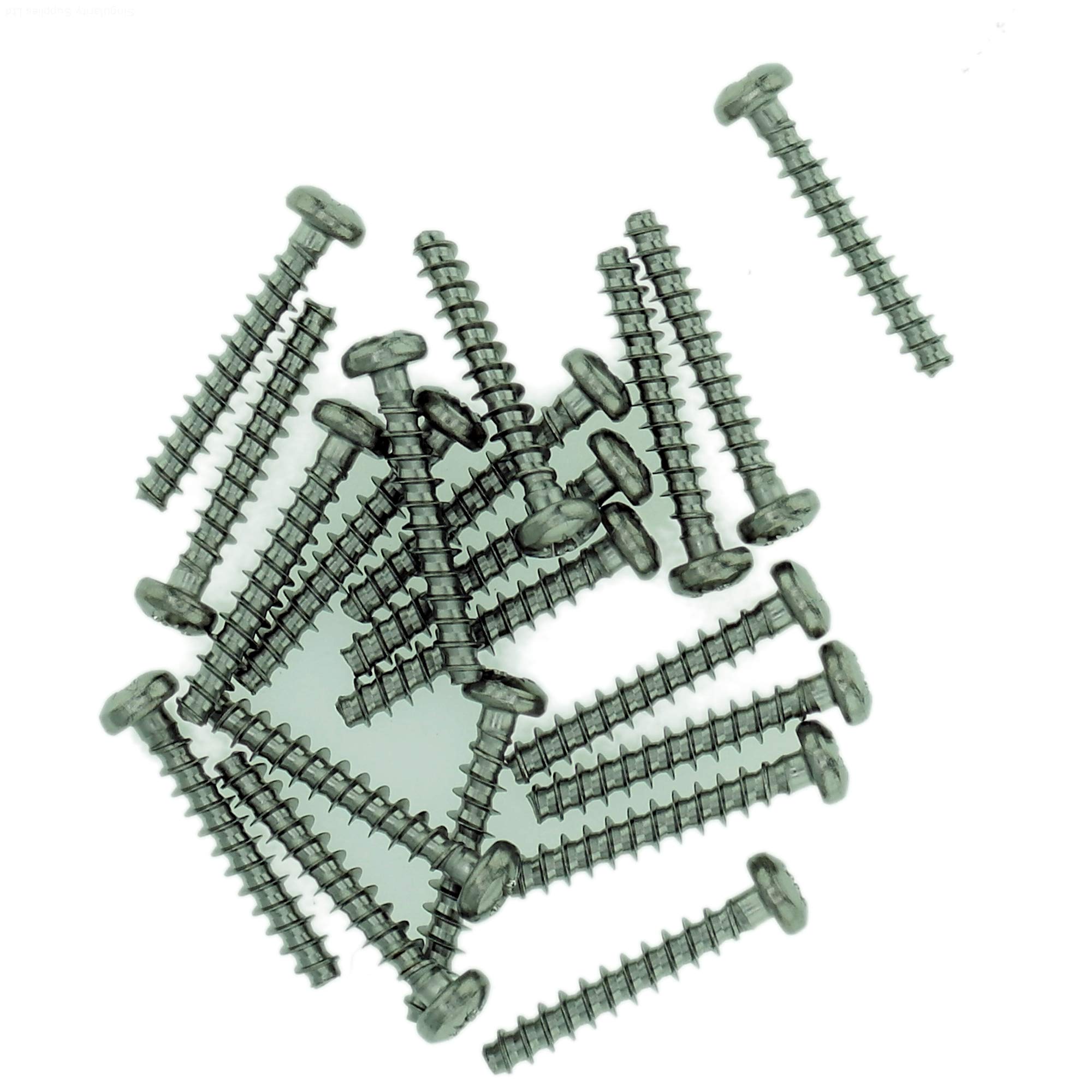 D4 (4mm x 10mm) Pozi Pan Screws for Plastic - Stainless Steel (A2) (Pack of 20)