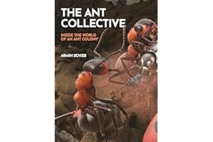 The Ant Collective: Inside the World of an Ant Colony