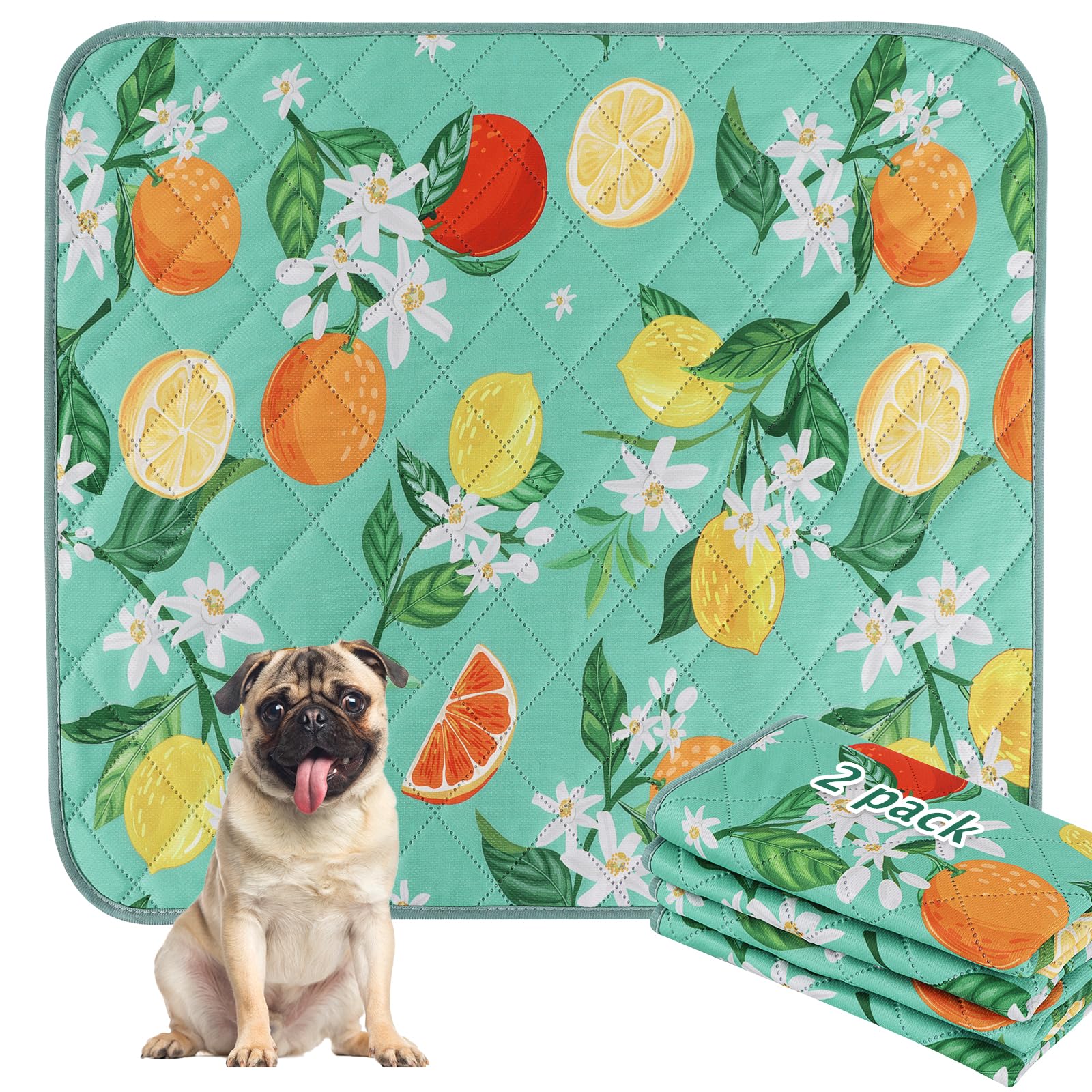 BVAGSS Washable Pee Pads for Dogs, 2 Pack Reusable Leakproof Puppy Wee Wee Pad, Non-Slip Waterproof Pet Training Pads, Super Absorbent Whelping Pads XH081 (Green Lemon, 75x50cm)