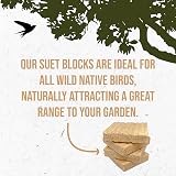 The Birdfood Warehouse Mealworm & Insect Premium Suet Block 10 Pack view 5