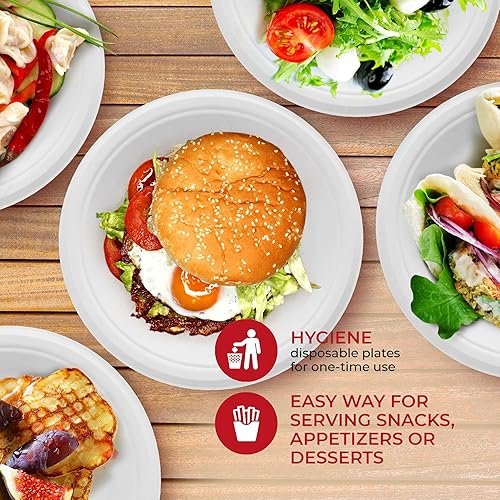 Heavy Duty Paper Plates inch (250 Pack) Disposable Microwavable Plates  Bulk Compostable Dinner Plates Leakpr