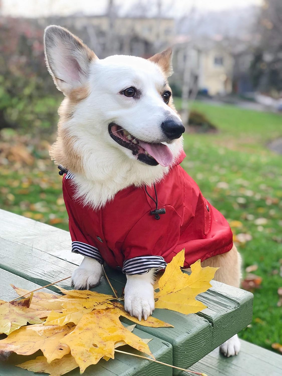 Ellie Dog Wear Zip Up Red Dog Raincoat with Reflective Buttons, Pockets, Water Resistant, Adjustable Drawstring - Image 5