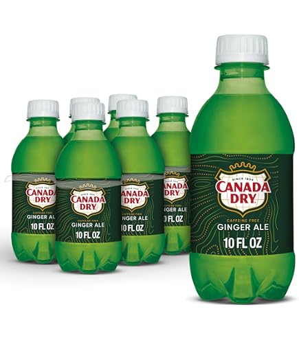 Amazon.com : BEEQ (Pack of 8) Canada Dry Zero Sugar Ginger Ale
