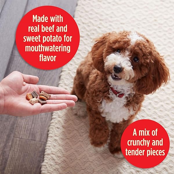 MILK-BONE TRAIL MIX CHEWY & CRUNCHY DOG TREATS, REAL BEEF & SWEET POTATO, 20 OUNCE
